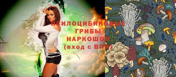 МДПВ Новодвинск