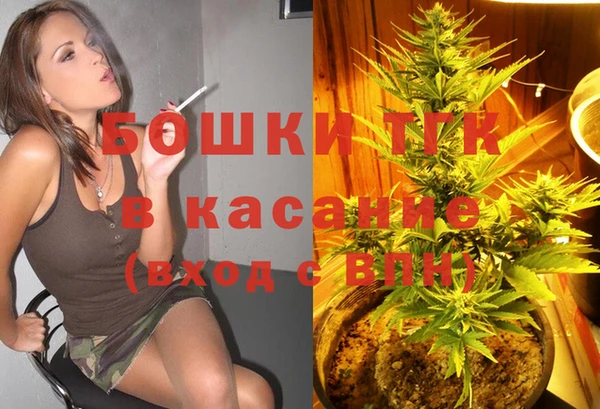 бошки Новозыбков